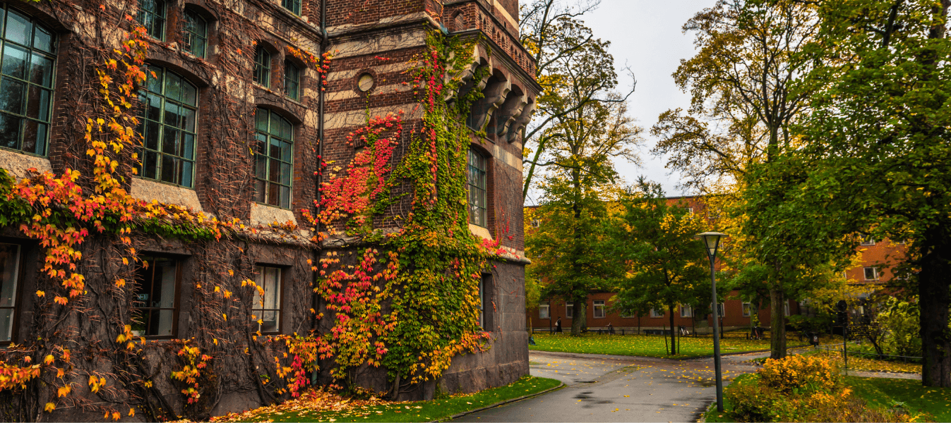 The Swedish Student Dictionary: Understanding Terms like 'Sittning' & 'Tenta'