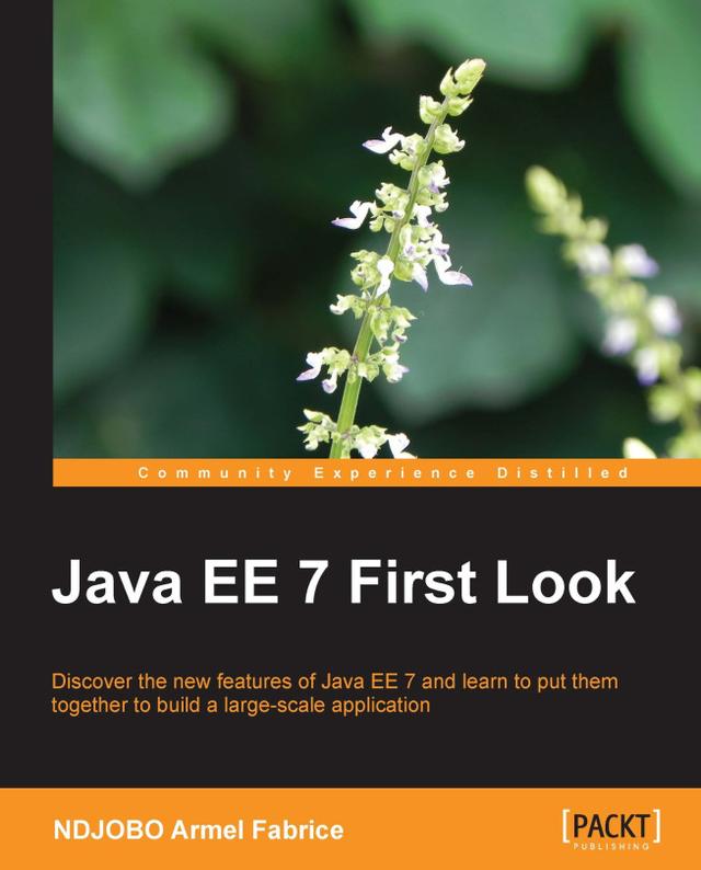Java EE 7 First Look by Armel Fabrice NDJOBO