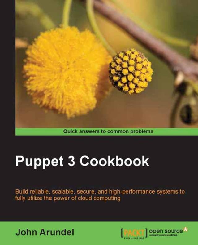 Puppet 3 Cookbook by John Arundel
