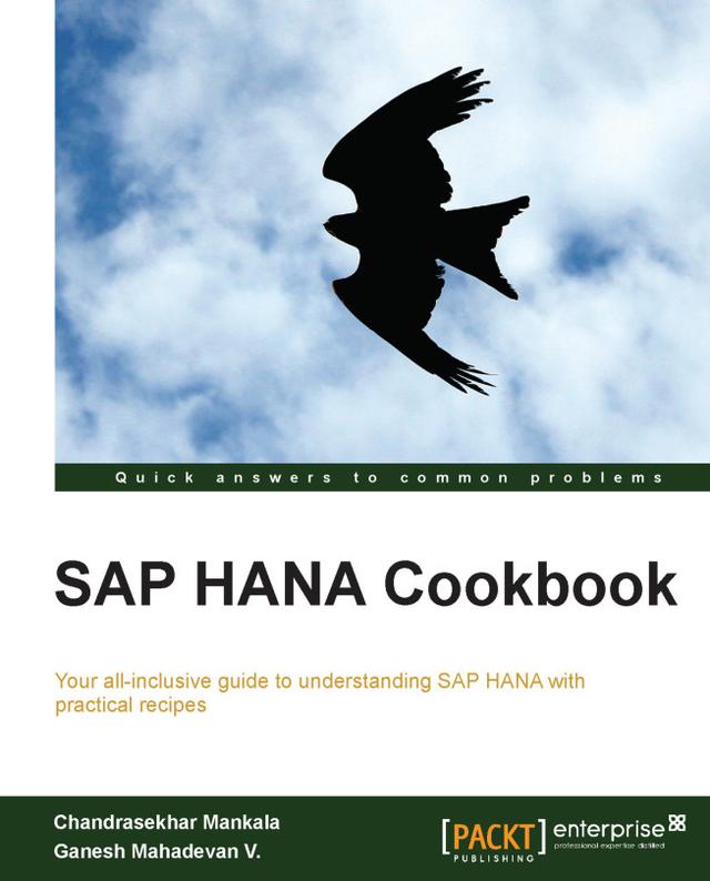 SAP HANA Cookbook by 