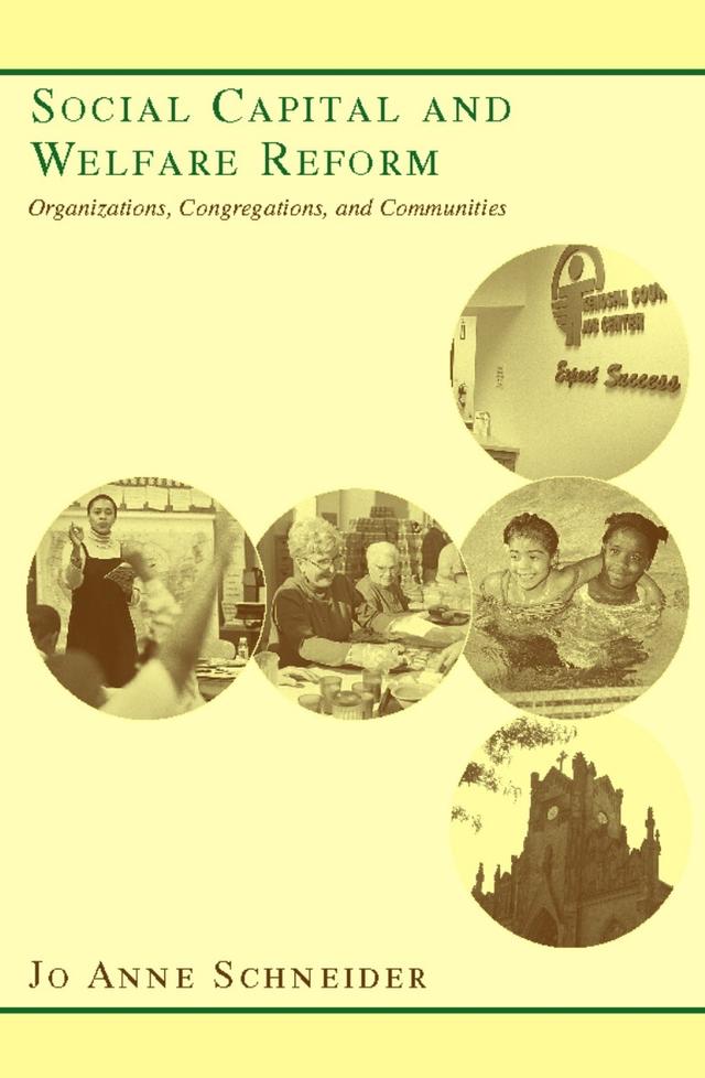 Social Capital and Welfare Reform by Jo Anne Schneider
