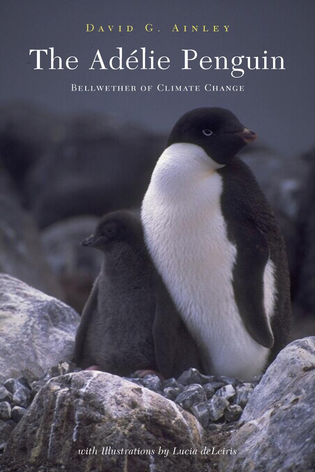 The Adélie Penguin by David Ainley, Lucia deLeiris