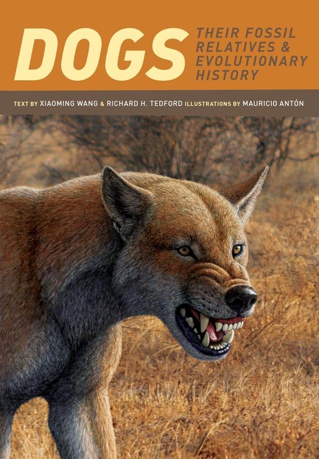 Dogs by Mauricio Antón, Richard H. Tedford, Xiaoming Wang