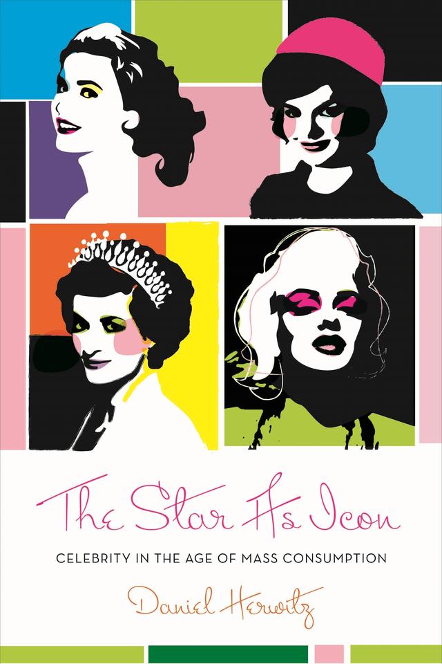 The Star as Icon by Daniel Herwitz