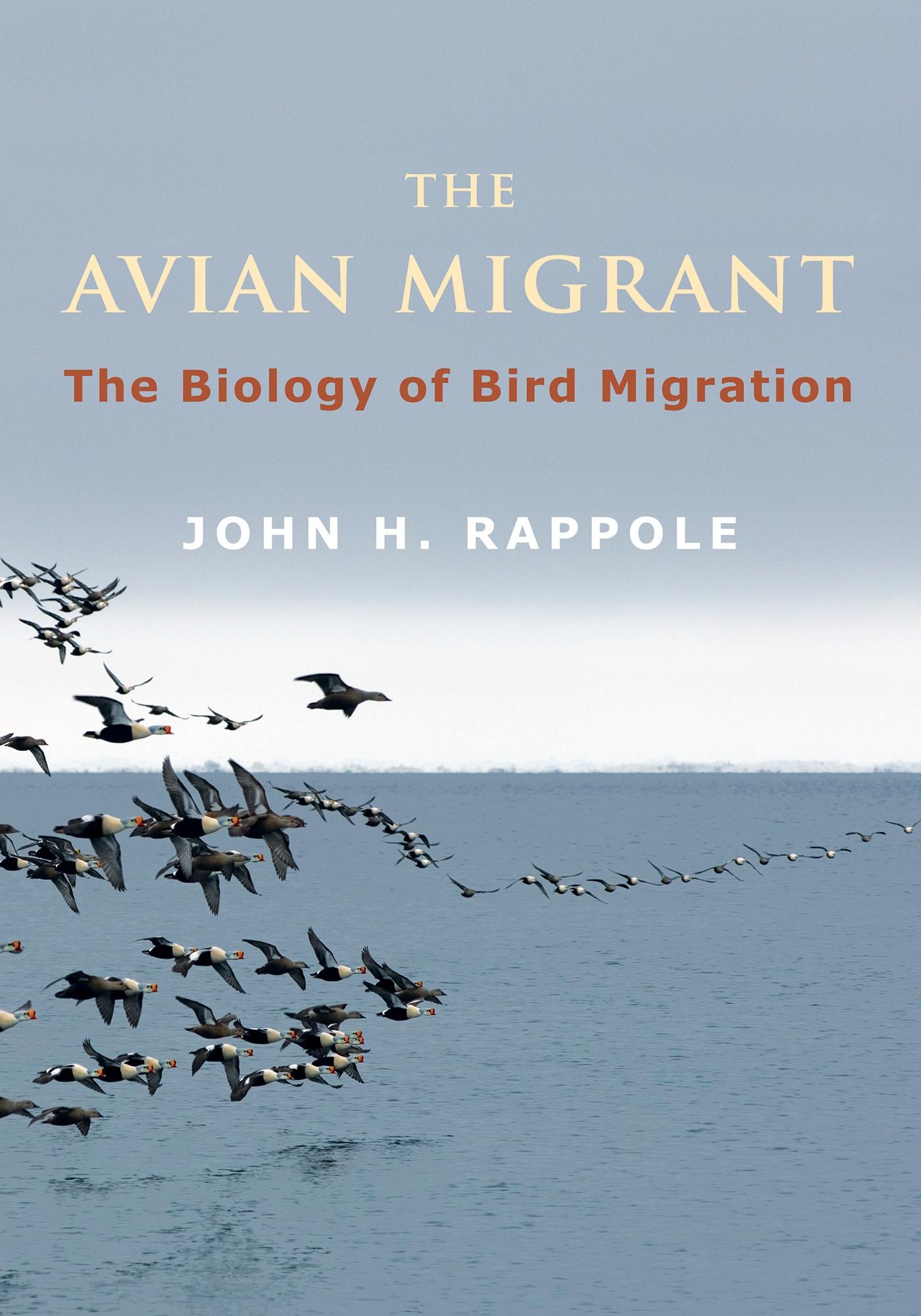The Avian Migrant