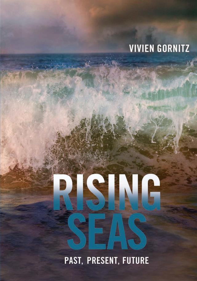 Rising Seas by Vivien Gornitz