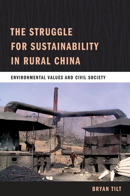 The Struggle for Sustainability in Rural China by Bryan Tilt
