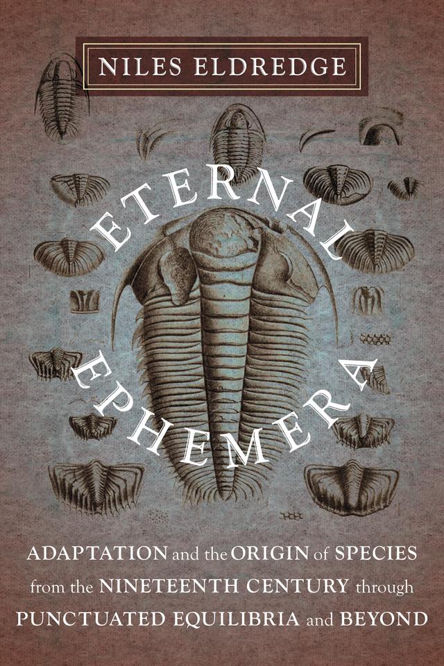 Eternal Ephemera by Niles Eldredge
