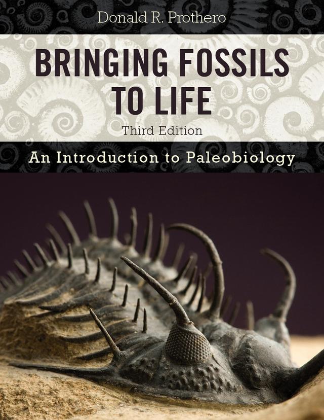 Bringing Fossils to Life by Donald R. Prothero