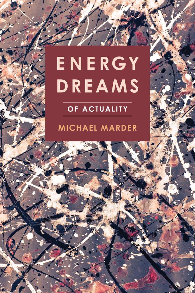 Energy Dreams by Michael Marder