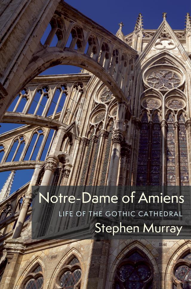 Notre-Dame of Amiens by Stephen Murray