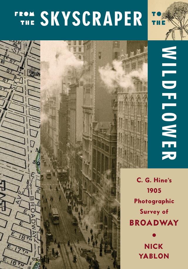 From the Skyscraper to the Wildflower by Nick Yablon