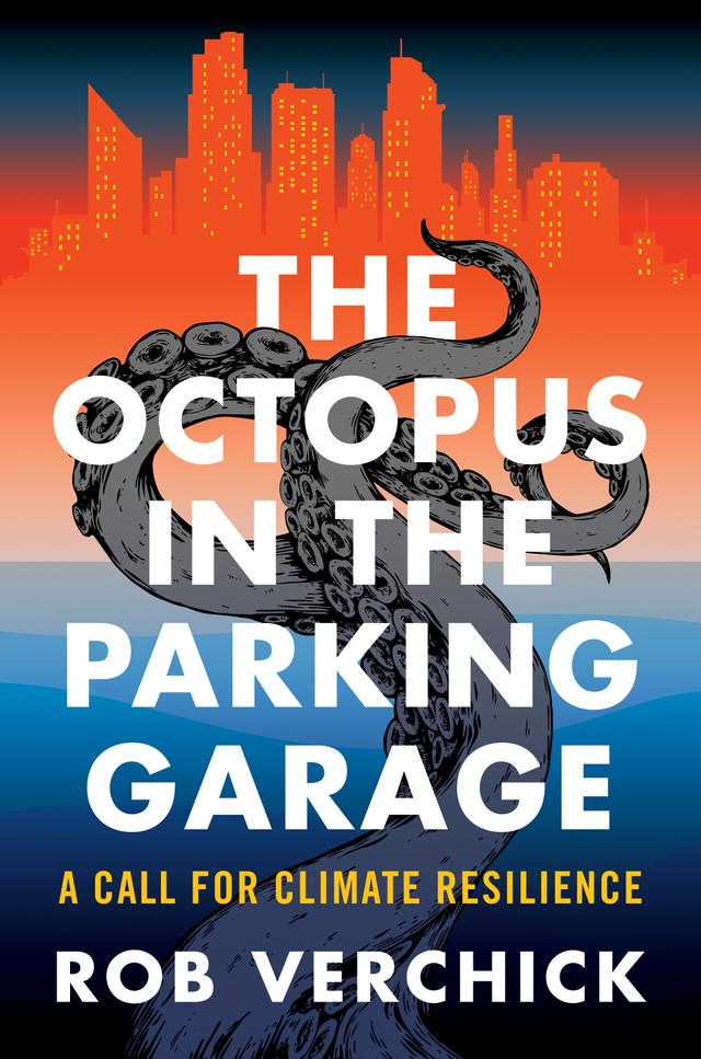 The Octopus in the Parking Garage by Rob Verchick