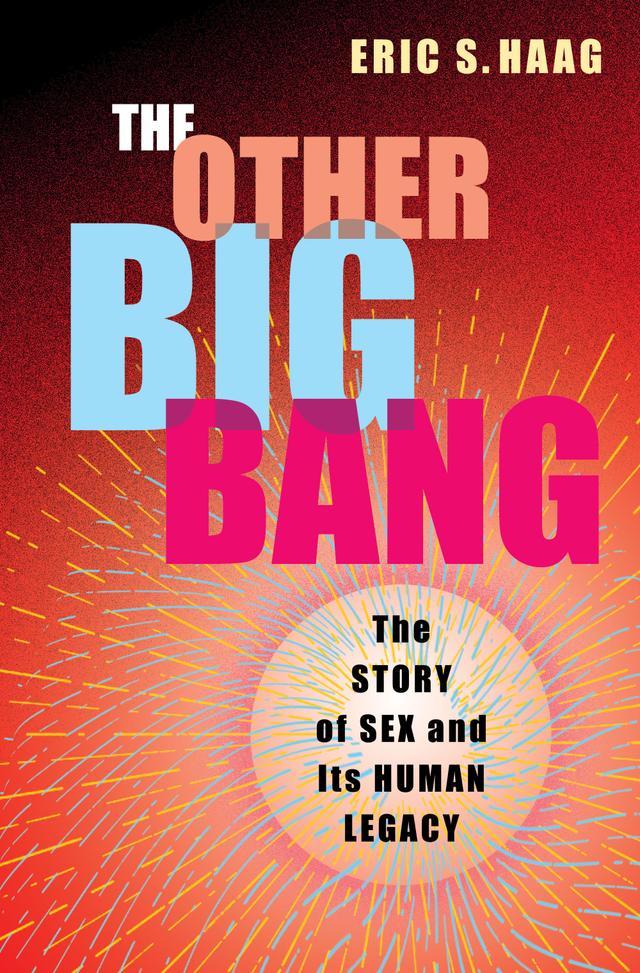 The Other Big Bang by Eric S. Haag