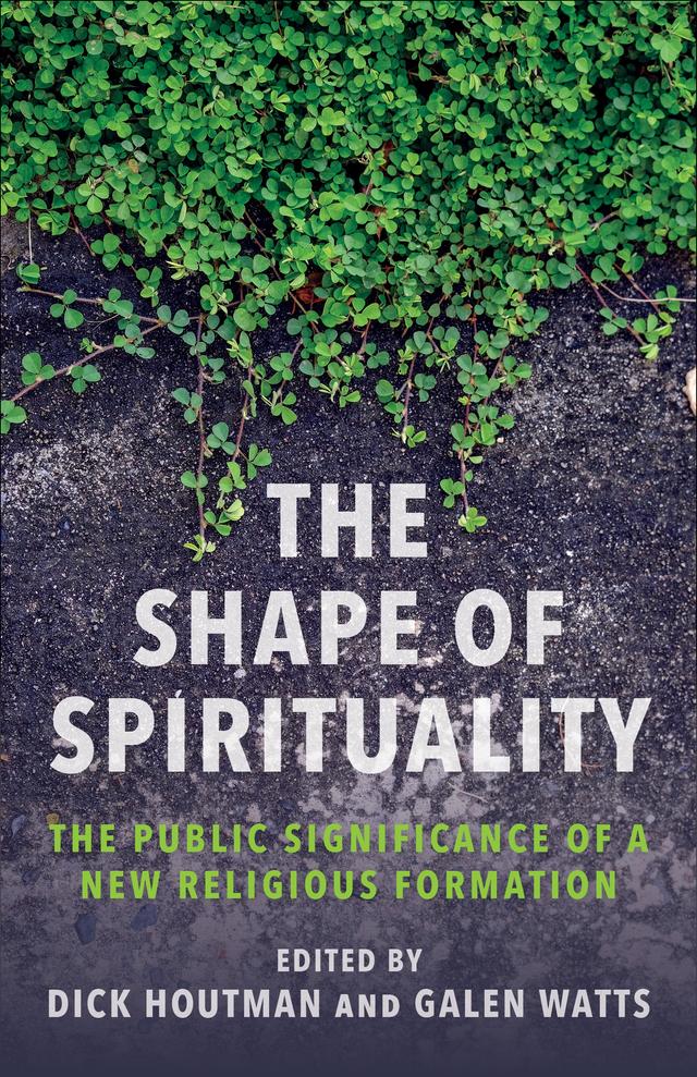 The Shape of Spirituality by Dick Houtman, Galen Watts