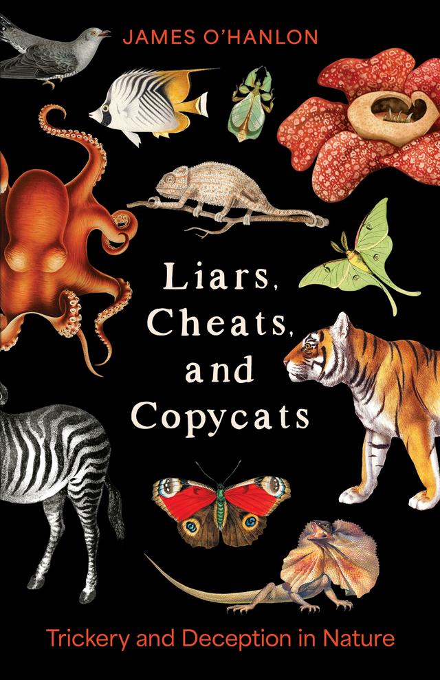 Liars, Cheats, and Copycats by James O'Hanlon