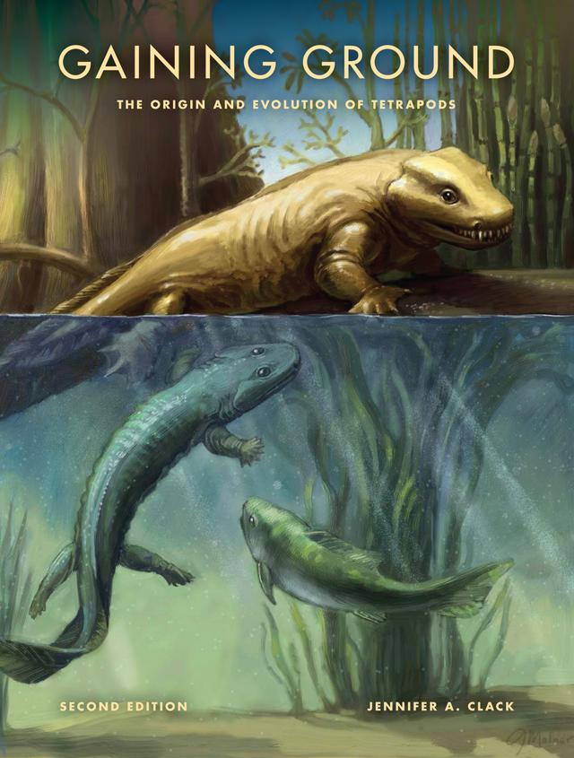 Gaining Ground, Second Edition by Jennifer A. Clack