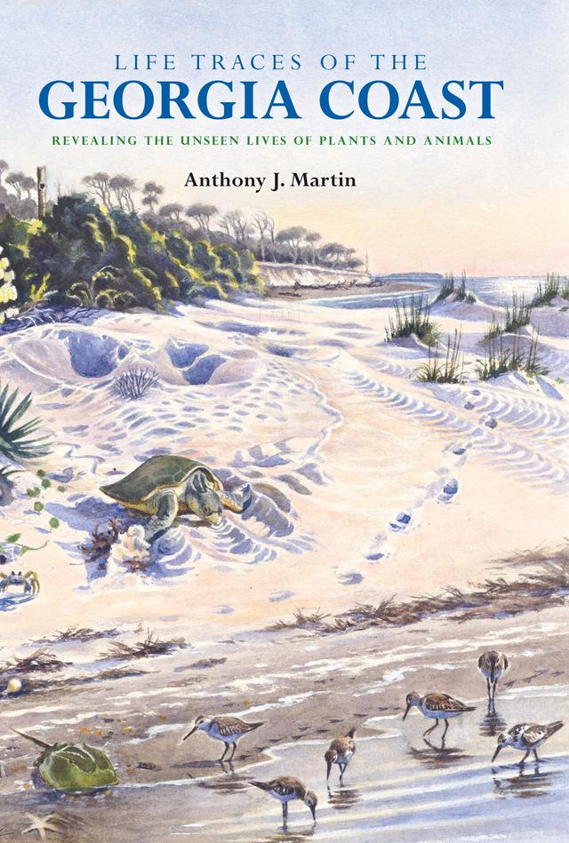 Life Traces of the Georgia Coast by Anthony J. Martin