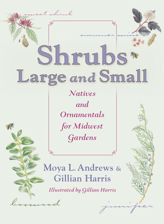 Shrubs Large and Small by Gillian Harris, Moya L. Andrews