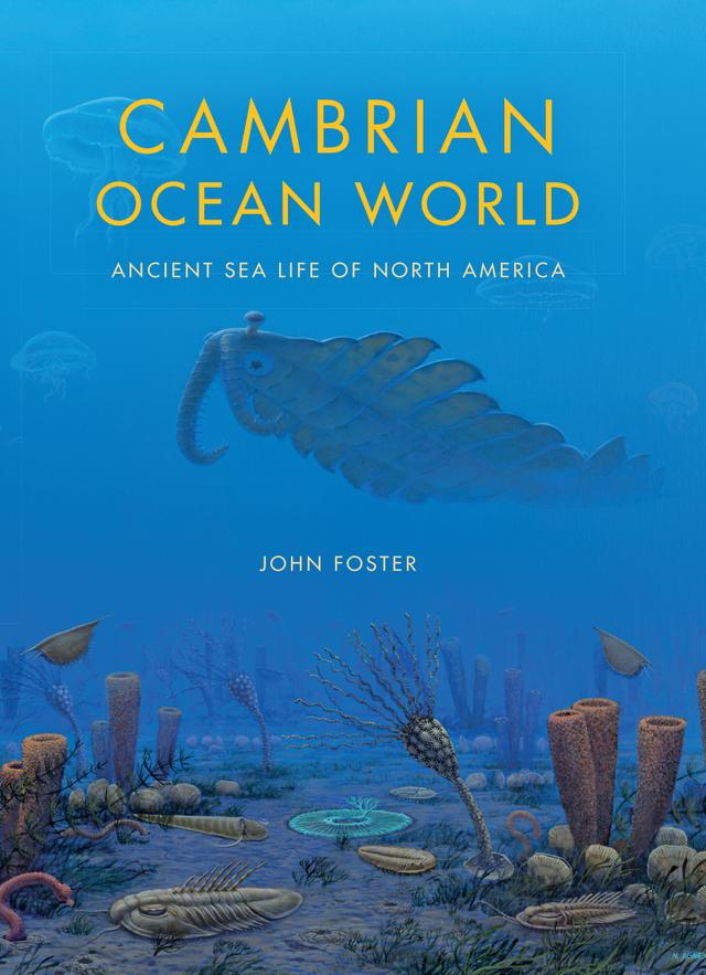 Cambrian Ocean World by John Foster