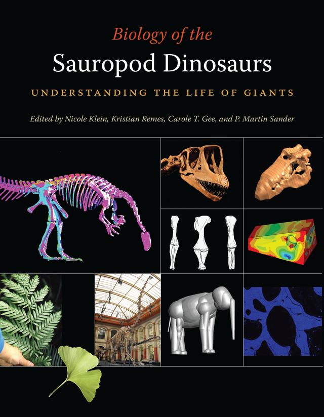 Biology of the Sauropod Dinosaurs by Aleksander Kostka, Alexander Stahn, András Borbély, Andreas Christian, Anke Kaysser-Pyzalla, Bergita Ganse, Bianca Hohn, Carole T. Gee, David M. Unwin, Eva Maria Griebeler, Gordon Dzemski, Hanns-Christian Gunga, Heinrich Mallison, Holger Preuschoft, Jan Werner, Julia Mannhardt, Jürgen Hummel, Katrin Reis, Koen Stein, Kristian Remes, Maïtena Dumont, Marcus Clauss, Nadine Pajor, Nicole Klein, Oliver Hampe, Oliver Wings, Oliver W. M. Rauhut, Pascal De Micheli, P. Martin Sander, Rainer Goessling, Regina Fechner, Stefan Stoinski, Steven F. Perry, Thomas Breuer, Thomas Tütken, Tim Suthau, Ulrich Witzel, Wolf-Dieter Heinrich