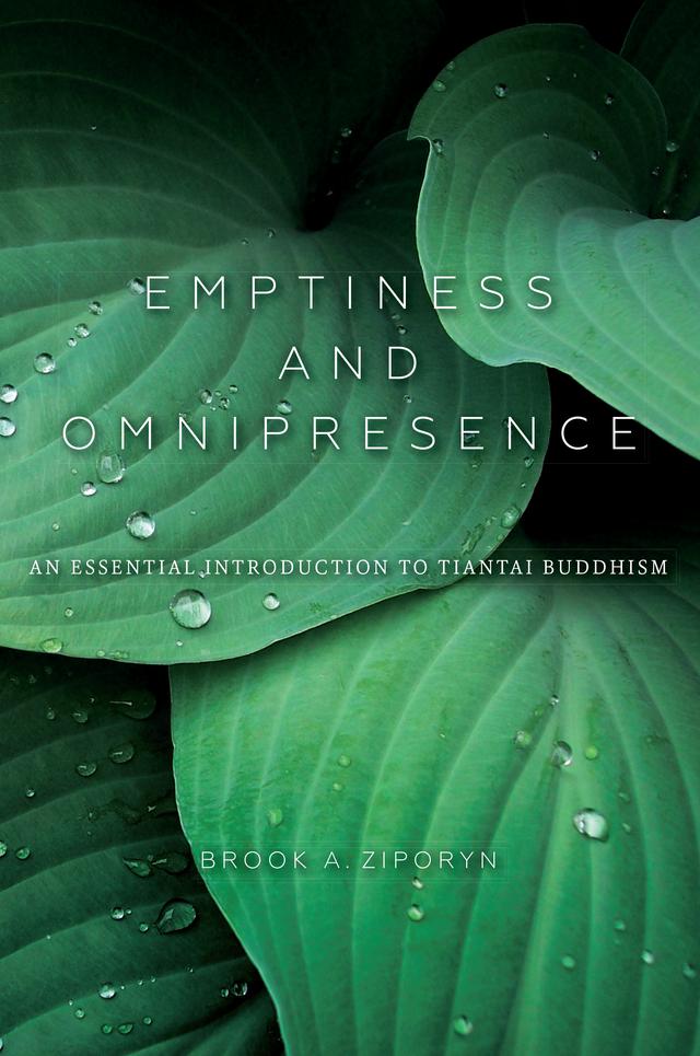 Emptiness and Omnipresence by Brook A. Ziporyn