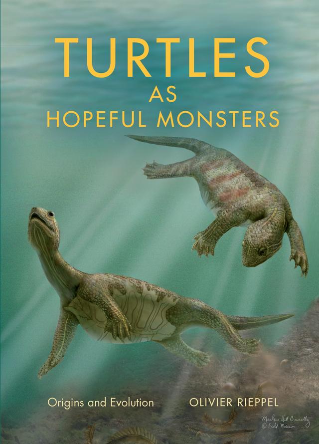Turtles as Hopeful Monsters by Olivier Rieppel