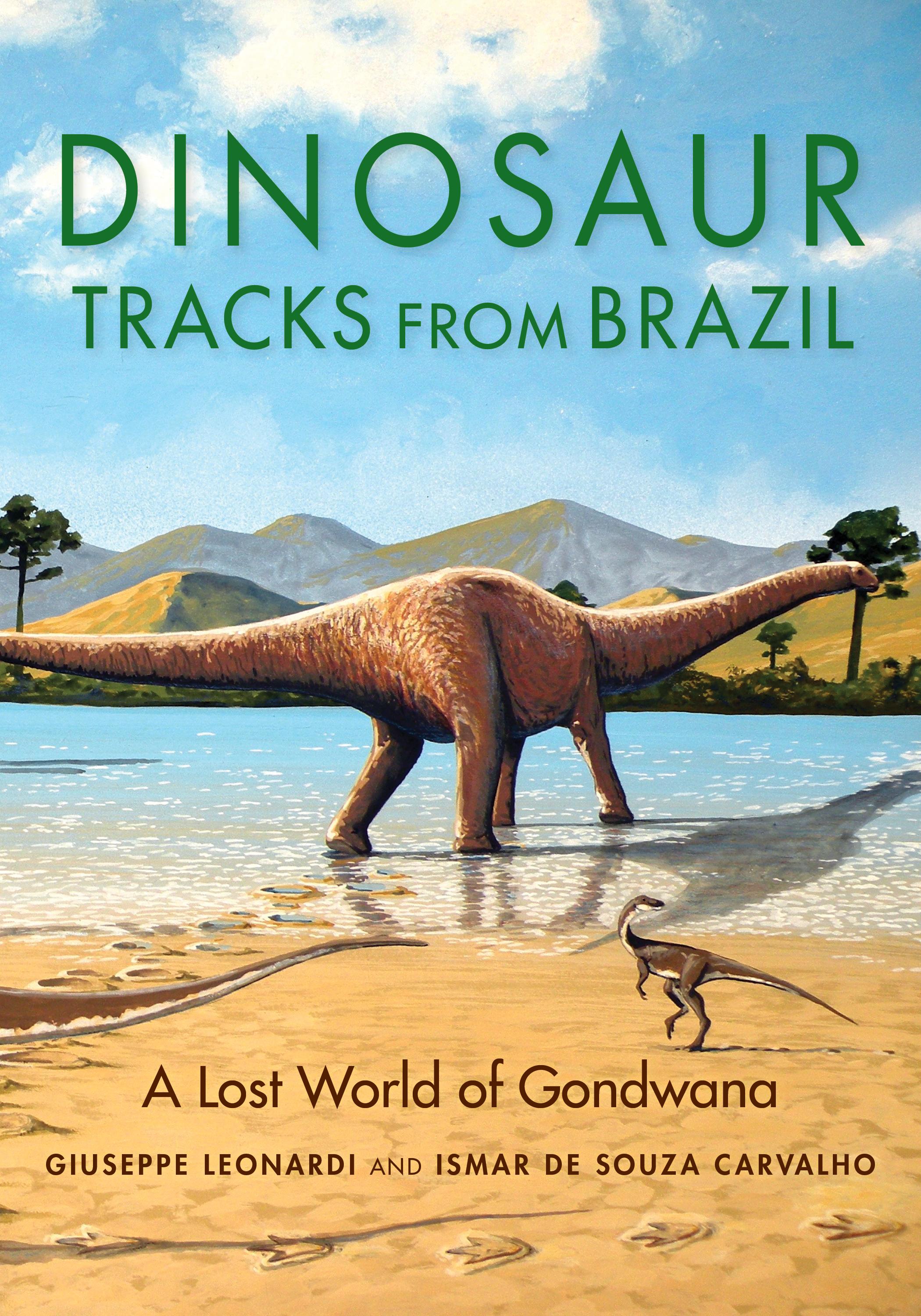Dinosaur Tracks from Brazil