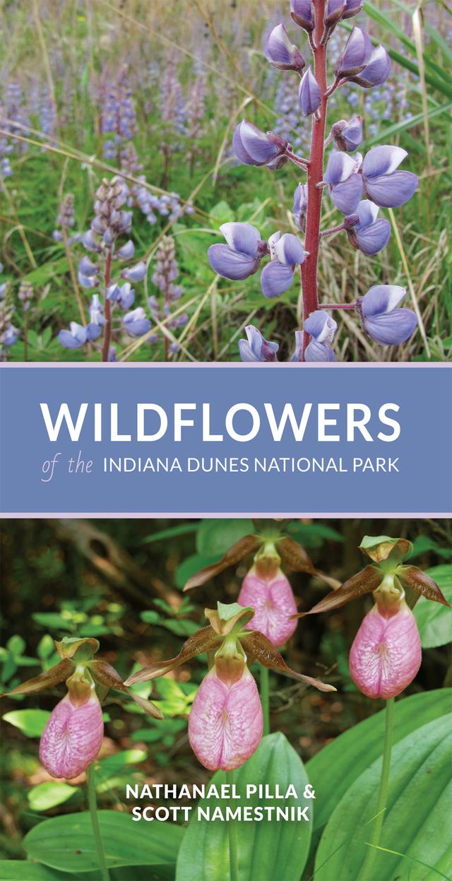 Wildflowers of the Indiana Dunes National Park by Nathanael Pilla, Scott Namestnik