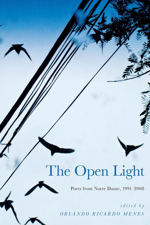 The Open Light by Orlando Ricardo Menes
