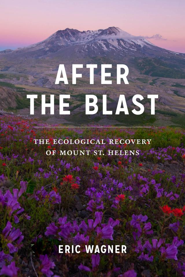 After the Blast by Eric Wagner