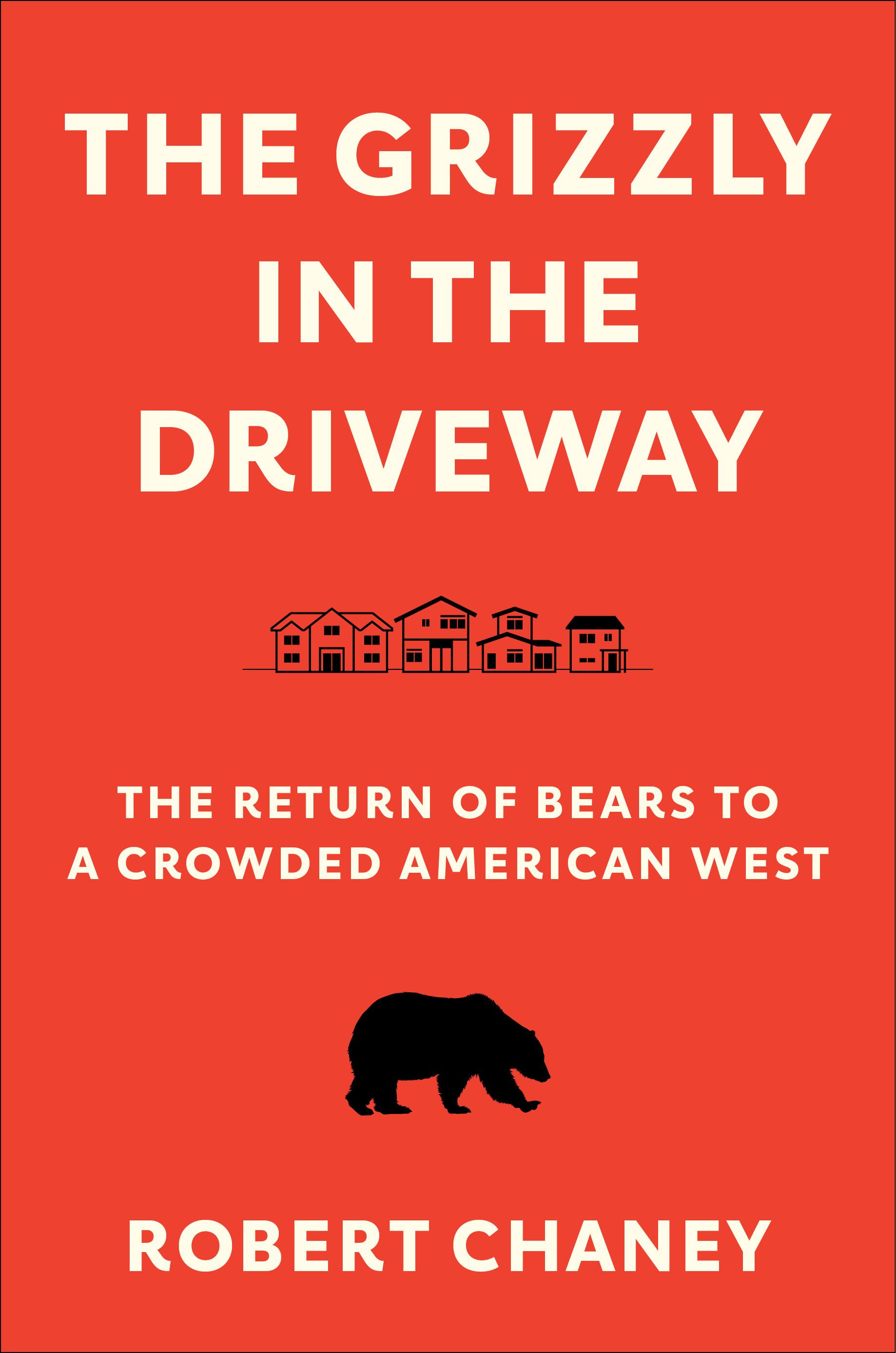 The Grizzly in the Driveway