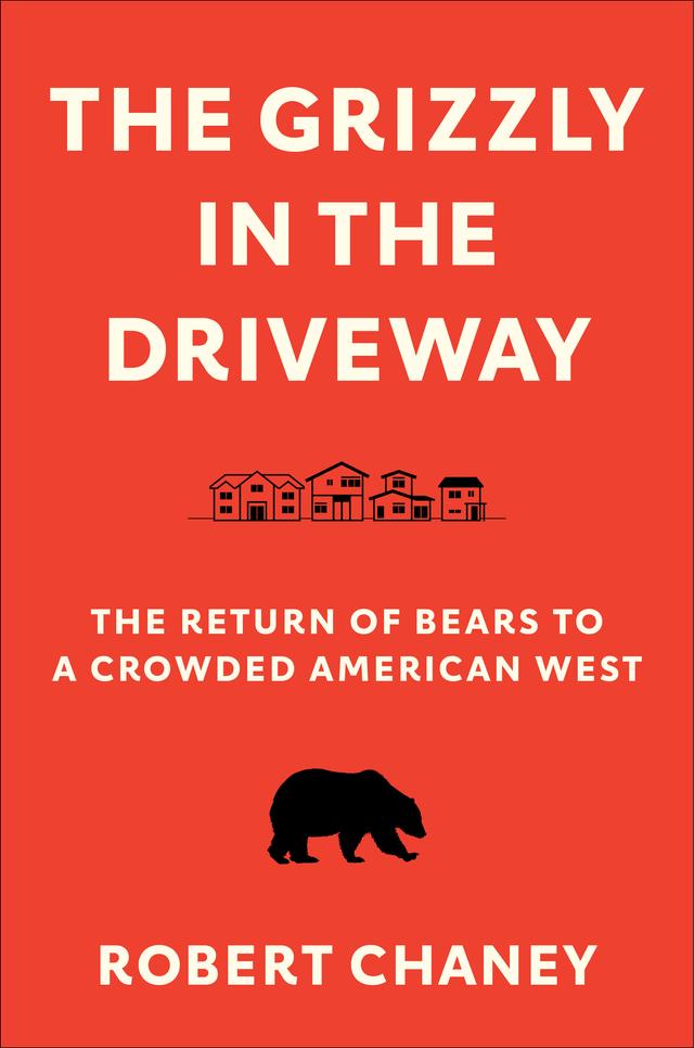 The Grizzly in the Driveway by Robert Chaney