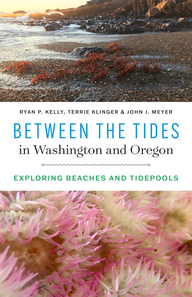 Between the Tides in Washington and Oregon by John J. Meyer, Ryan P. Kelly, Terrie Klinger