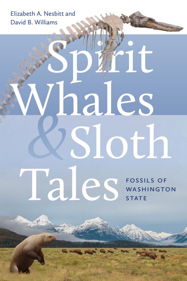 Spirit Whales and Sloth Tales by David B. Williams, Elizabeth A. Nesbitt
