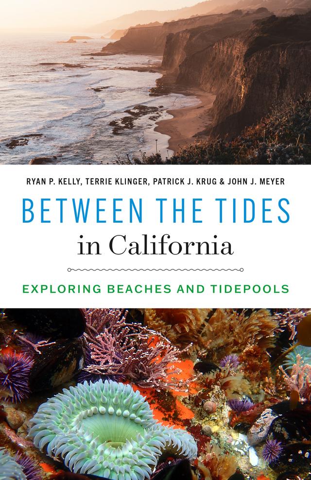 Between the Tides in California by John J. Meyer, Patrick J. Krug, Ryan P. Kelly, Terrie Klinger