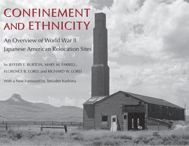 Confinement and Ethnicity by Jeffery F. Burton, Lord, Mary M. Farrell, Richard W. Lord, Tetsuden Kashima