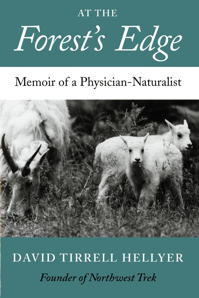At the Forest's Edge by David T. Hellyer