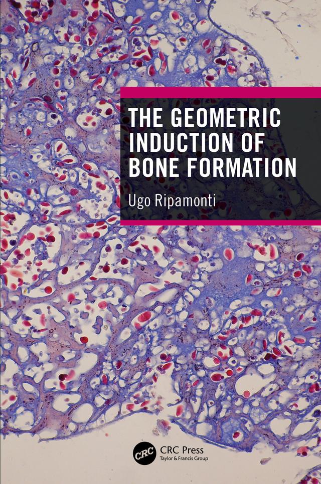 The Geometric Induction of Bone Formation by Ugo Ripamonti