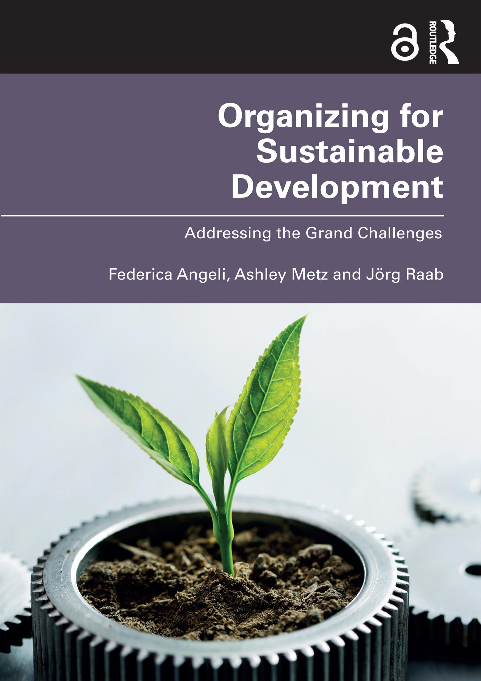 Organizing for Sustainable Development