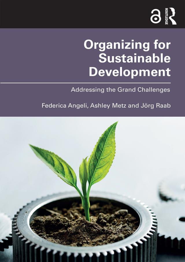 Organizing for Sustainable Development by Ashley Metz, Federica Angeli, Jörg Raab