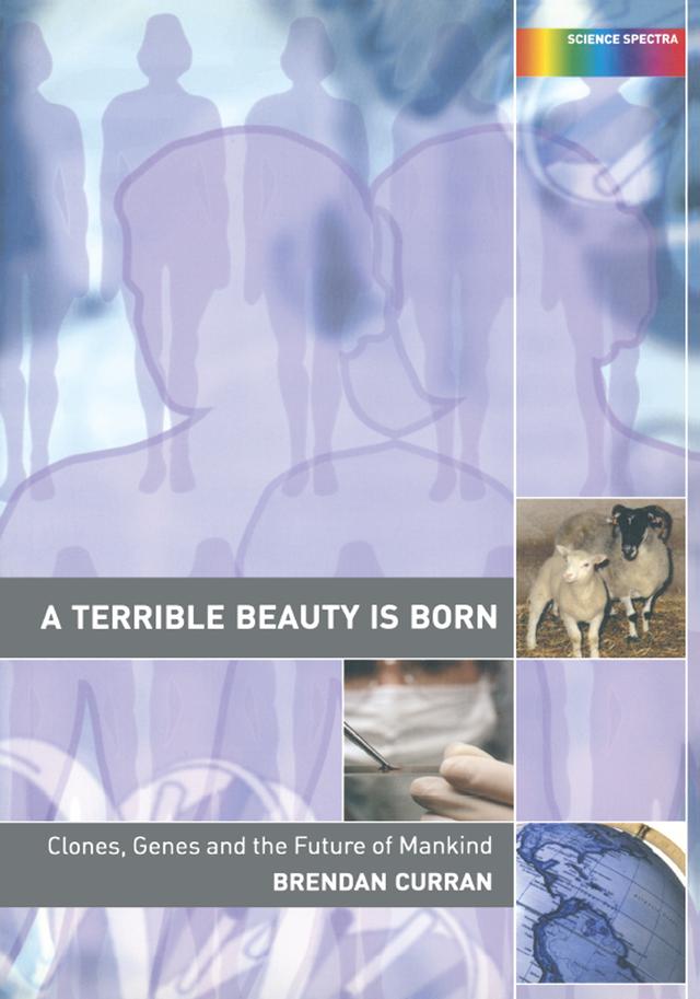 A Terrible Beauty is Born by Brendan Curran