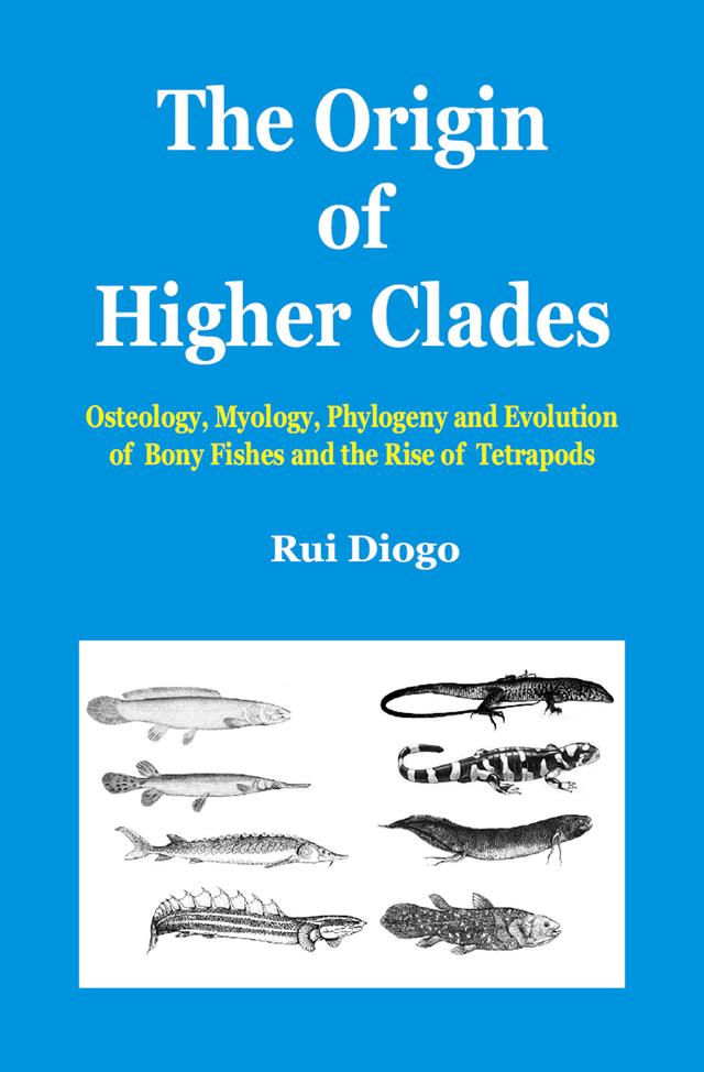 The Origin of Higher Clades by Rui Diogo