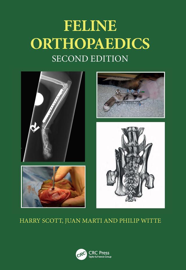 Feline Orthopaedics by Harry Scott, Juan M. Marti, Philip Witte