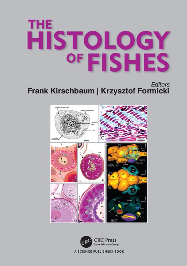 The Histology of Fishes by Frank Kirschbaum, Krzysztof Formicki