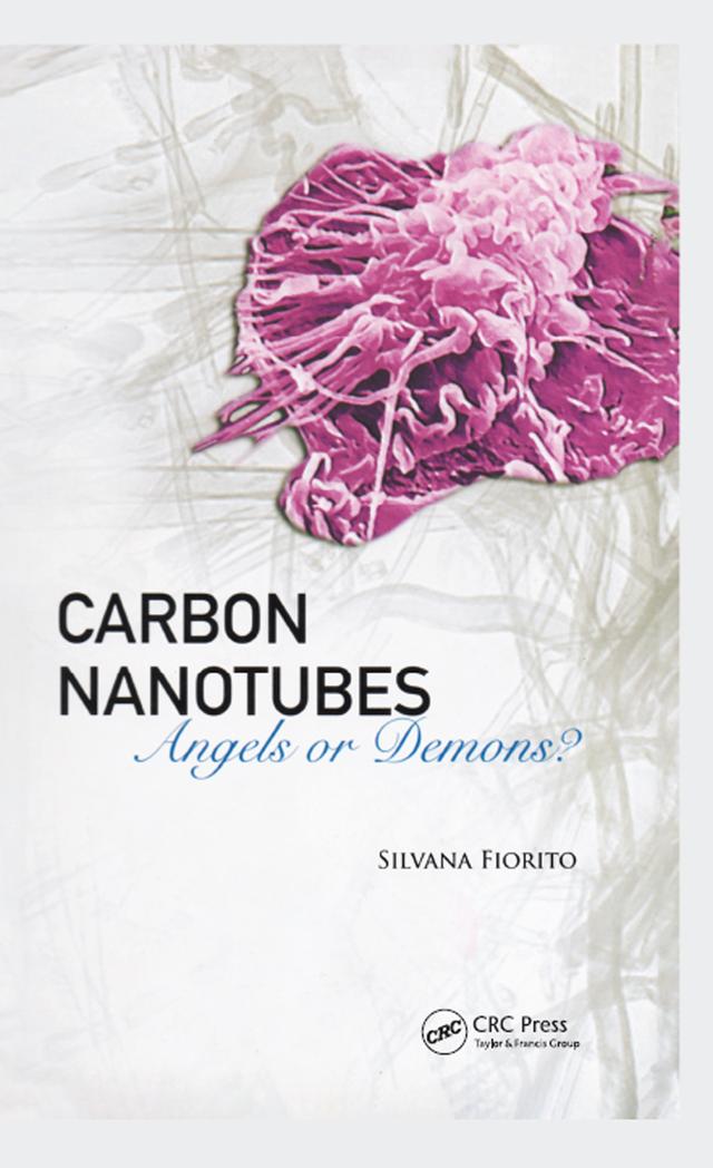 Carbon Nanotubes by Silvana Fiorito