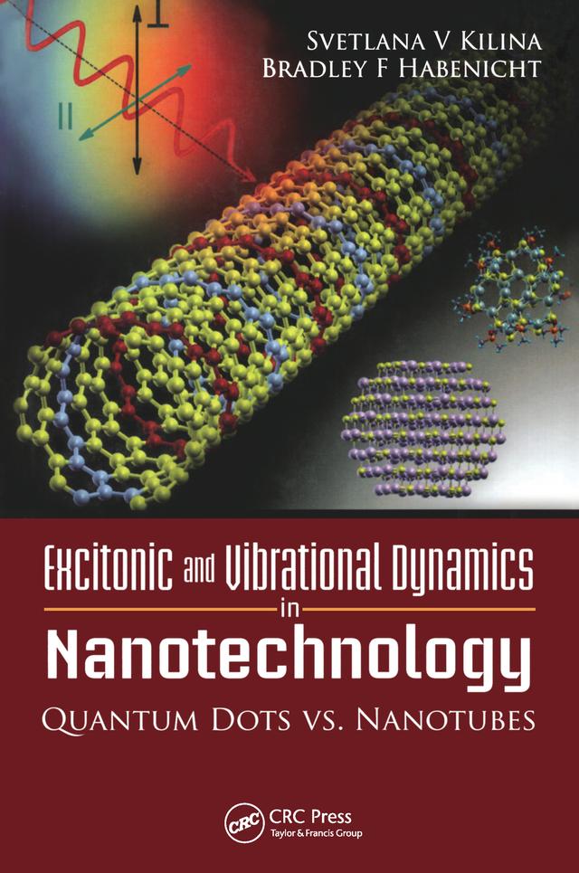 Excitonic and Vibrational Dynamics in Nanotechnology by Bradley G. Habenicht, Svetlana Kilina