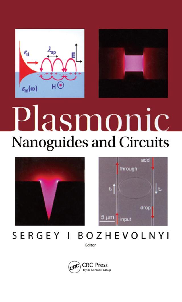 Plasmonic Nanoguides and Circuits by Sergey Bozhevolnyi