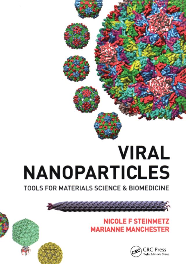 Viral Nanoparticles by Marianne Manchester, Nicole F. Steinmetz