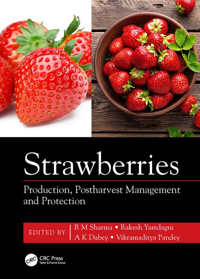 Strawberries by A K Dubey, Rakesh Yamdagni, R M Sharma, Vikramaditya Pandey